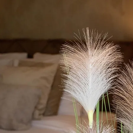 Eighty One Horse Boulevard 3* ואלקנסווארד