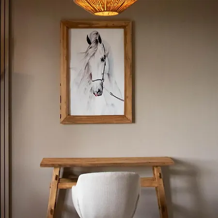 Bed & Breakfast Eighty One Horse Boulevard