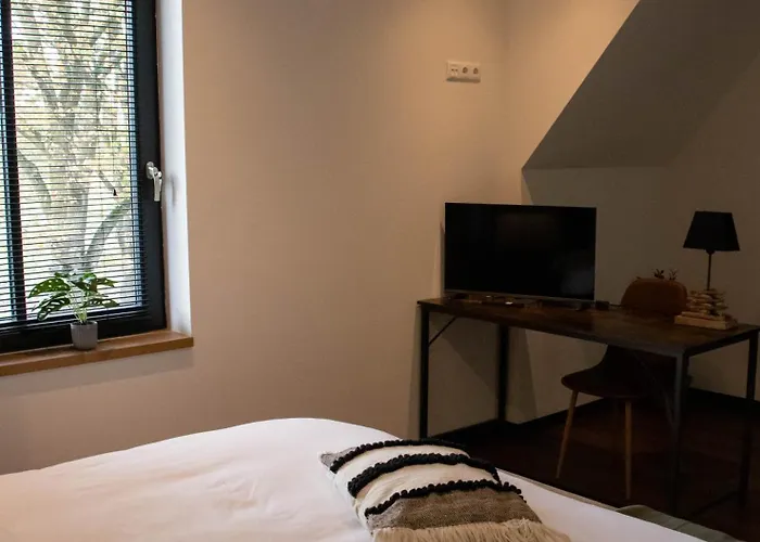 Eighty One Horse Boulevard Bed and breakfast Valkenswaard