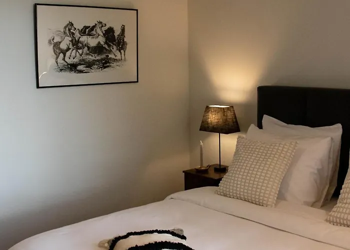 Eighty One Horse Boulevard Bed & Breakfast Valkenswaard