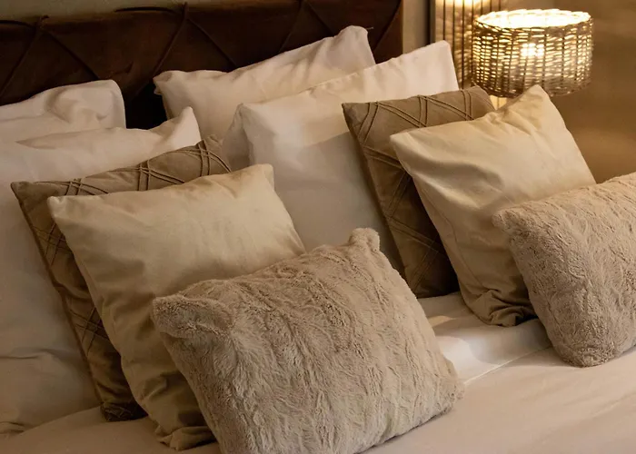 Bed & Breakfast Eighty One Horse Boulevard