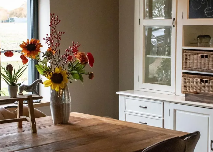 Bed & Breakfast Eighty One Horse Boulevard *