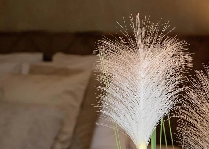 Eighty One Horse Boulevard * Valkenswaard