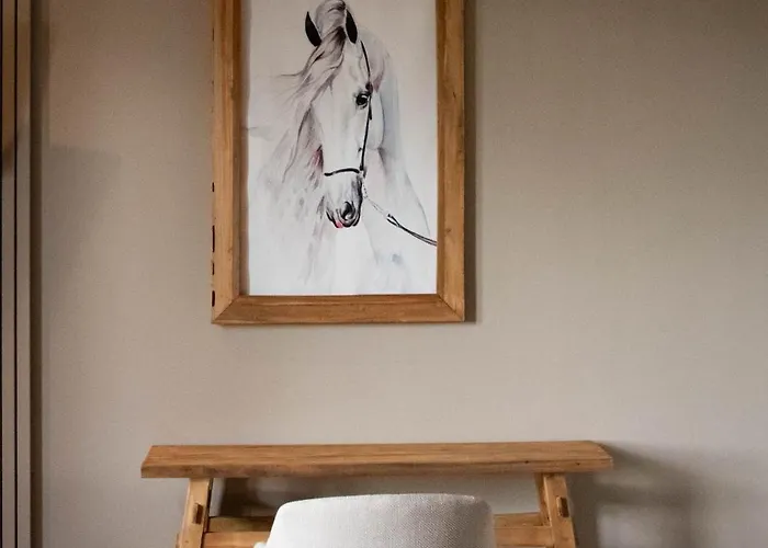 Bed & Breakfast Eighty One Horse Boulevard